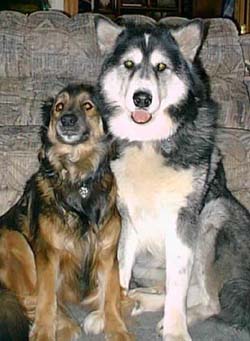 Skippy and Ursa